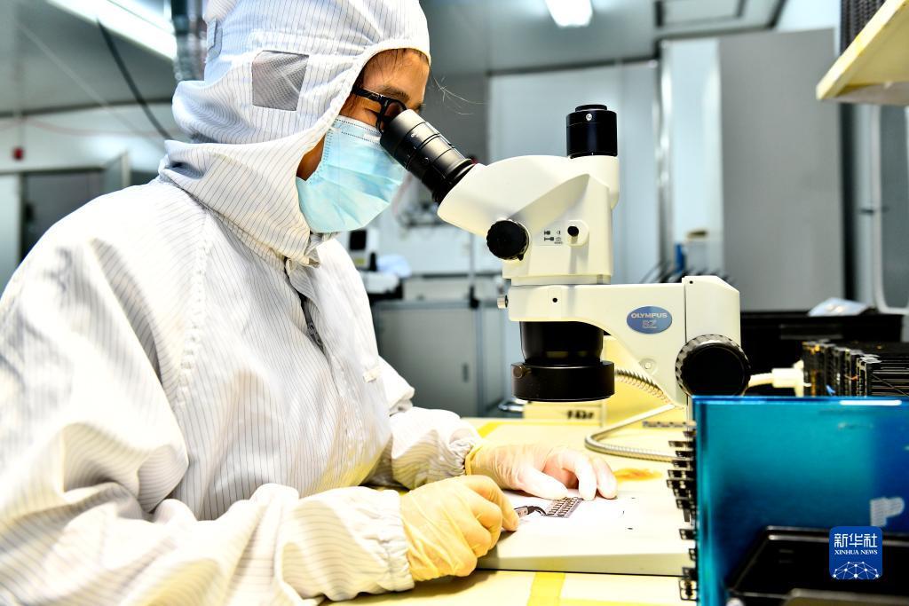 免费送彩金的娱乐网址不限id
